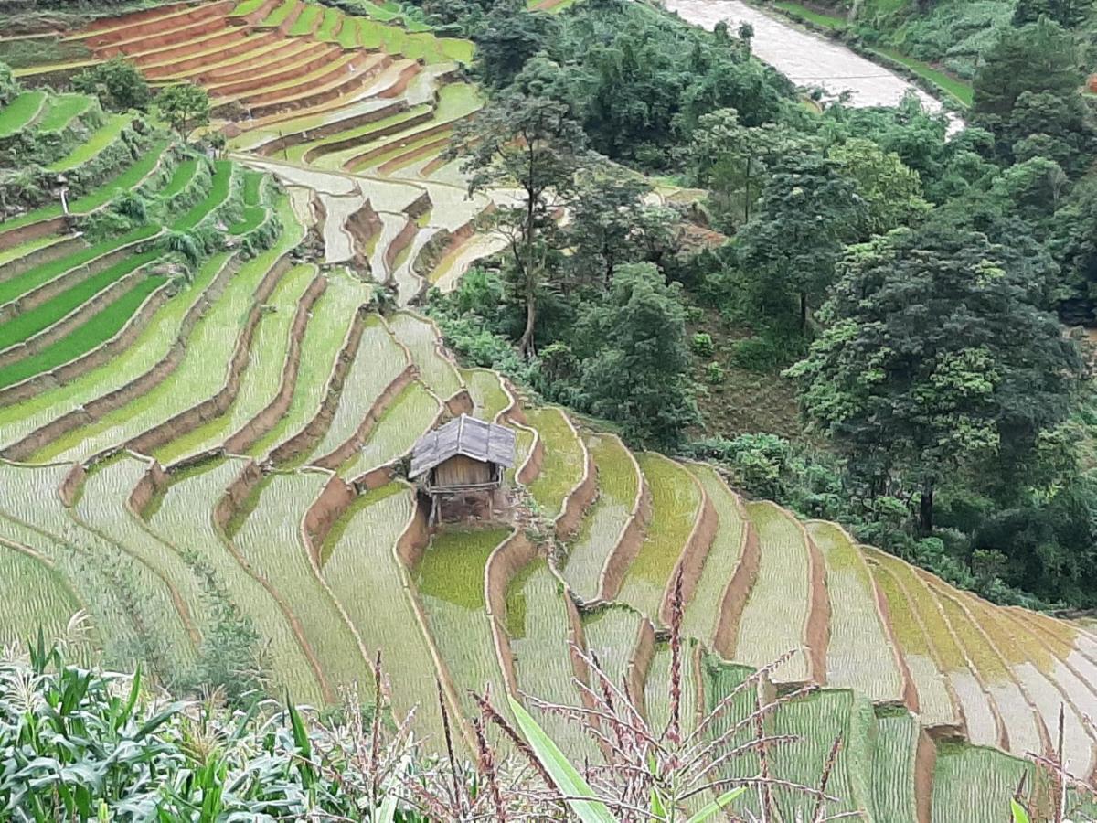Dong Suoi H'Mong Homestay & Bungalow - Trek & Vegetarian Food Mu Cang Chai Eksteriør bilde