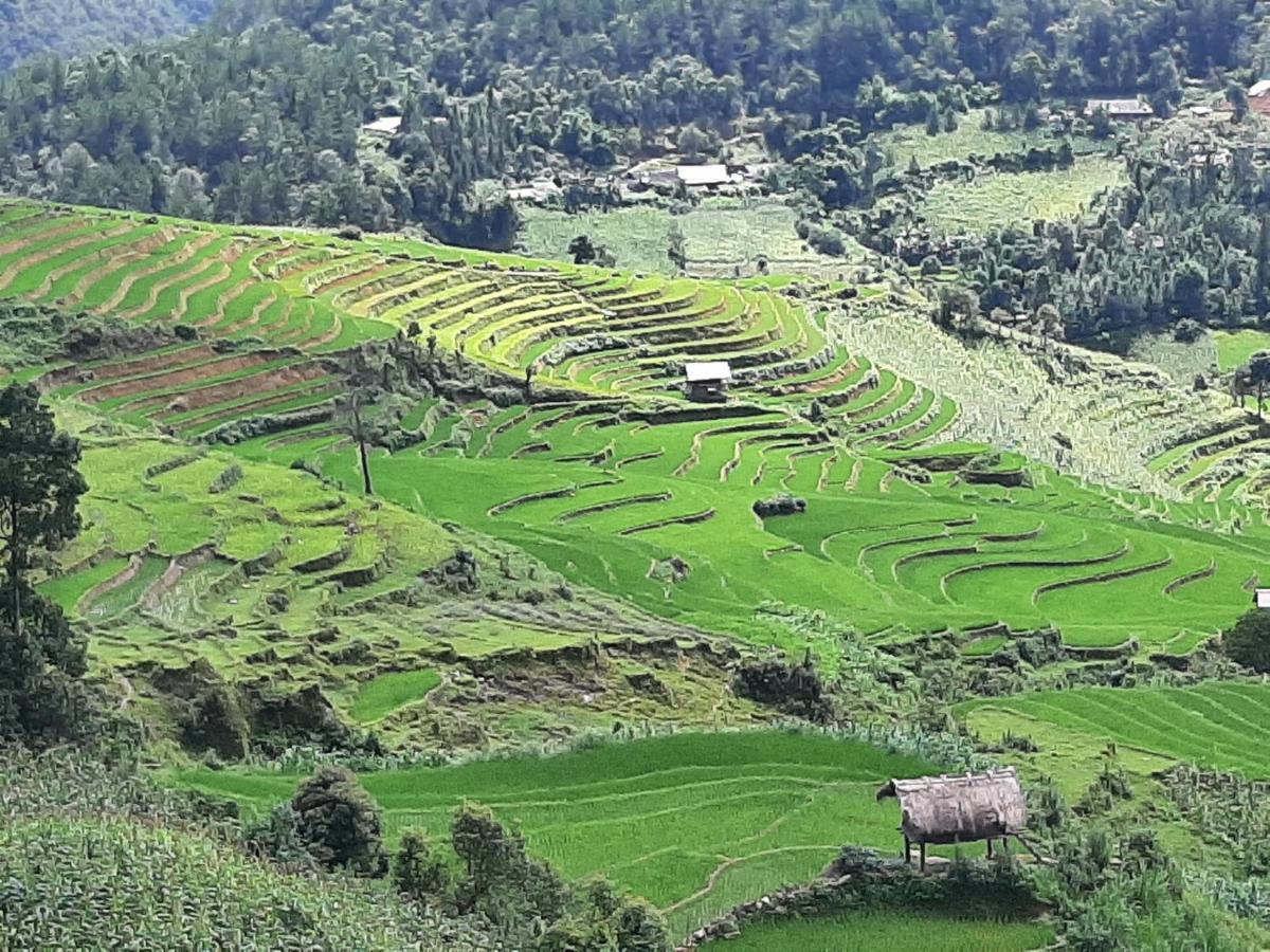 Dong Suoi H'Mong Homestay & Bungalow - Trek & Vegetarian Food Mu Cang Chai Eksteriør bilde