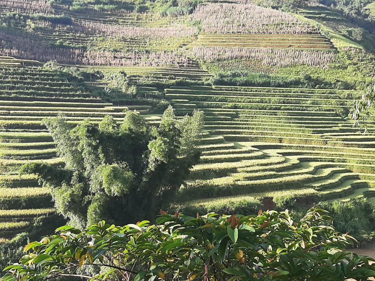 Dong Suoi H'Mong Homestay & Bungalow - Trek & Vegetarian Food Mu Cang Chai Eksteriør bilde