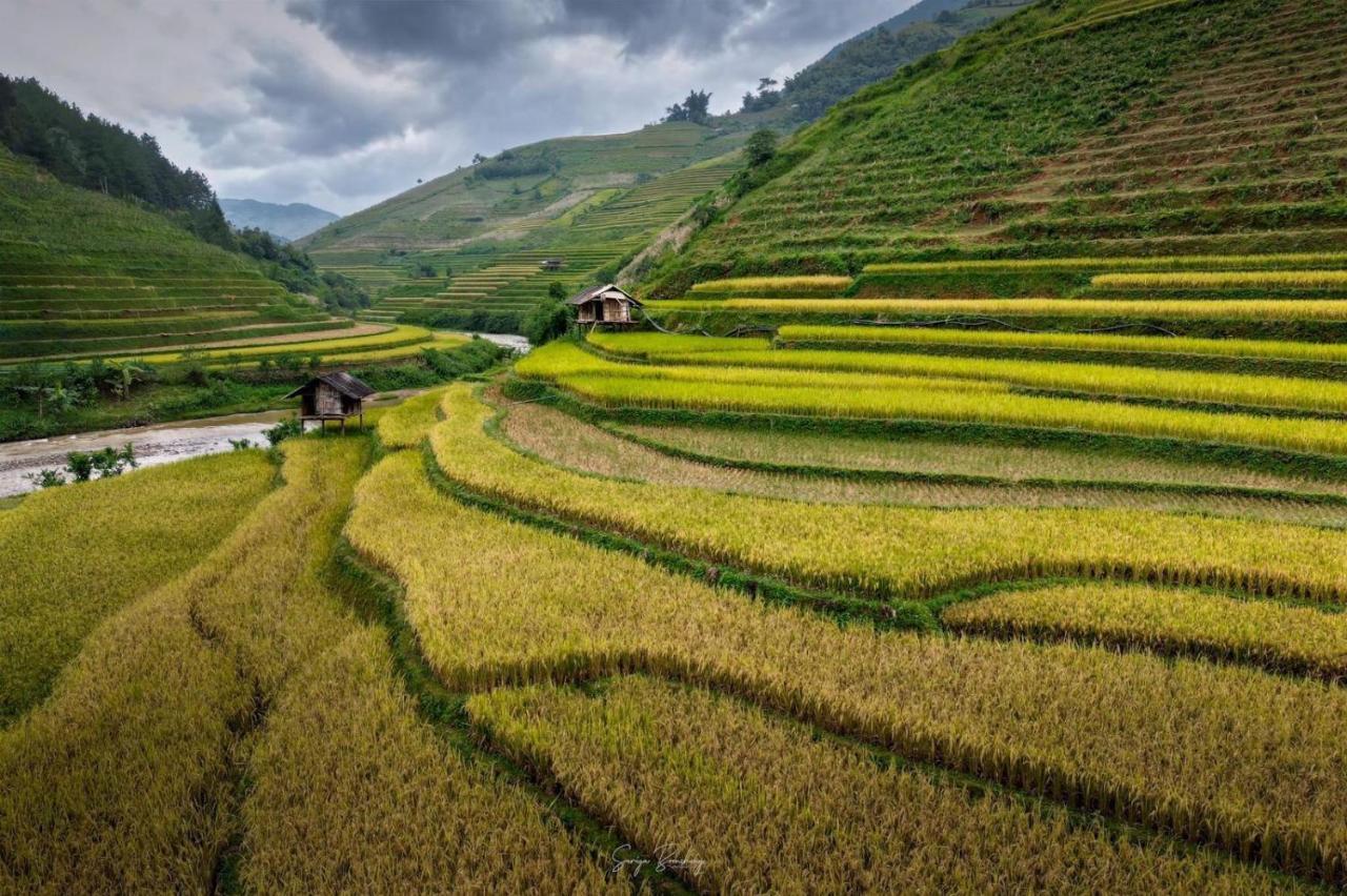 Dong Suoi H'Mong Homestay & Bungalow - Trek & Vegetarian Food Mu Cang Chai Eksteriør bilde