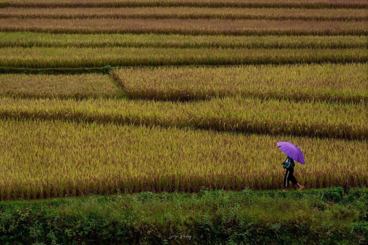 Dong Suoi H'Mong Homestay & Bungalow - Trek & Vegetarian Food Mu Cang Chai Eksteriør bilde