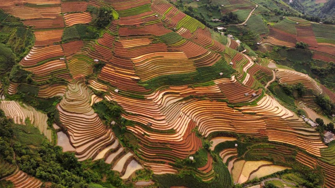 Dong Suoi H'Mong Homestay & Bungalow - Trek & Vegetarian Food Mu Cang Chai Eksteriør bilde