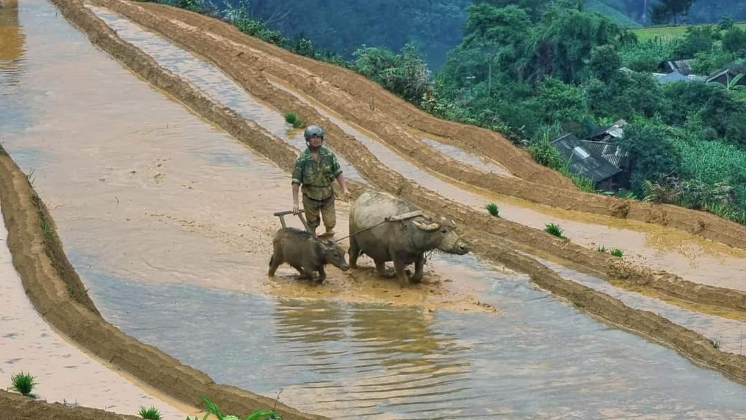 Dong Suoi H'Mong Homestay & Bungalow - Trek & Vegetarian Food Mu Cang Chai Eksteriør bilde