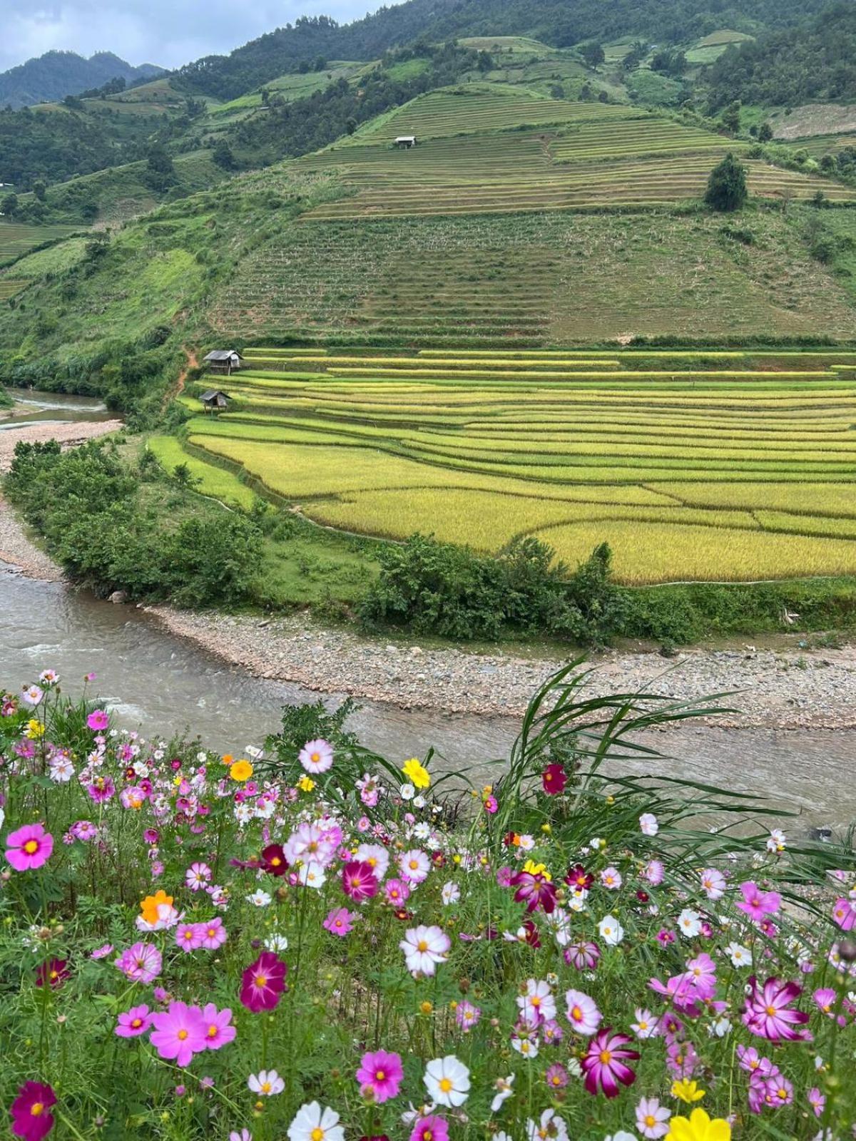 Dong Suoi H'Mong Homestay & Bungalow - Trek & Vegetarian Food Mu Cang Chai Eksteriør bilde